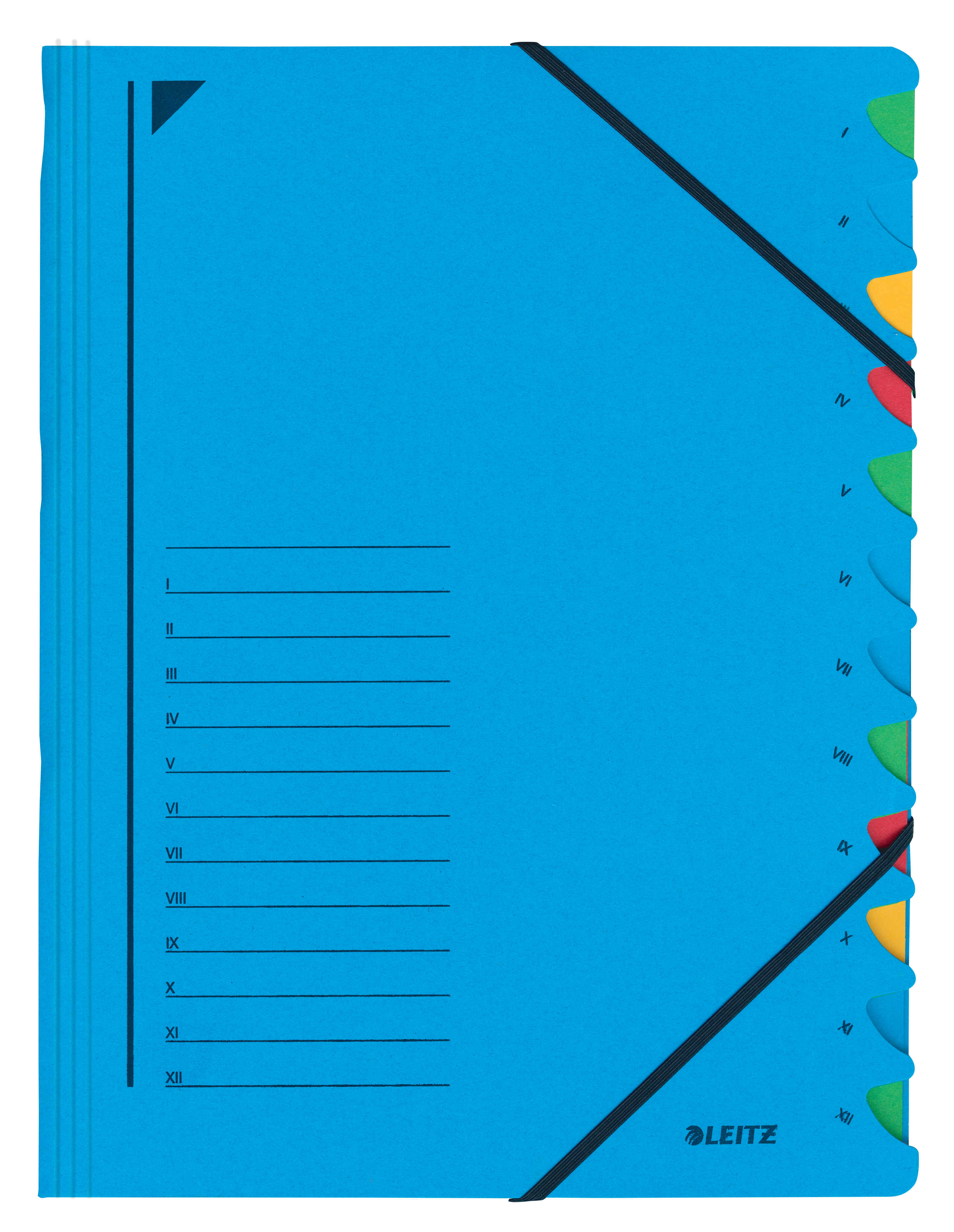 L:DIVIDER BOOK 12TABS BLUE