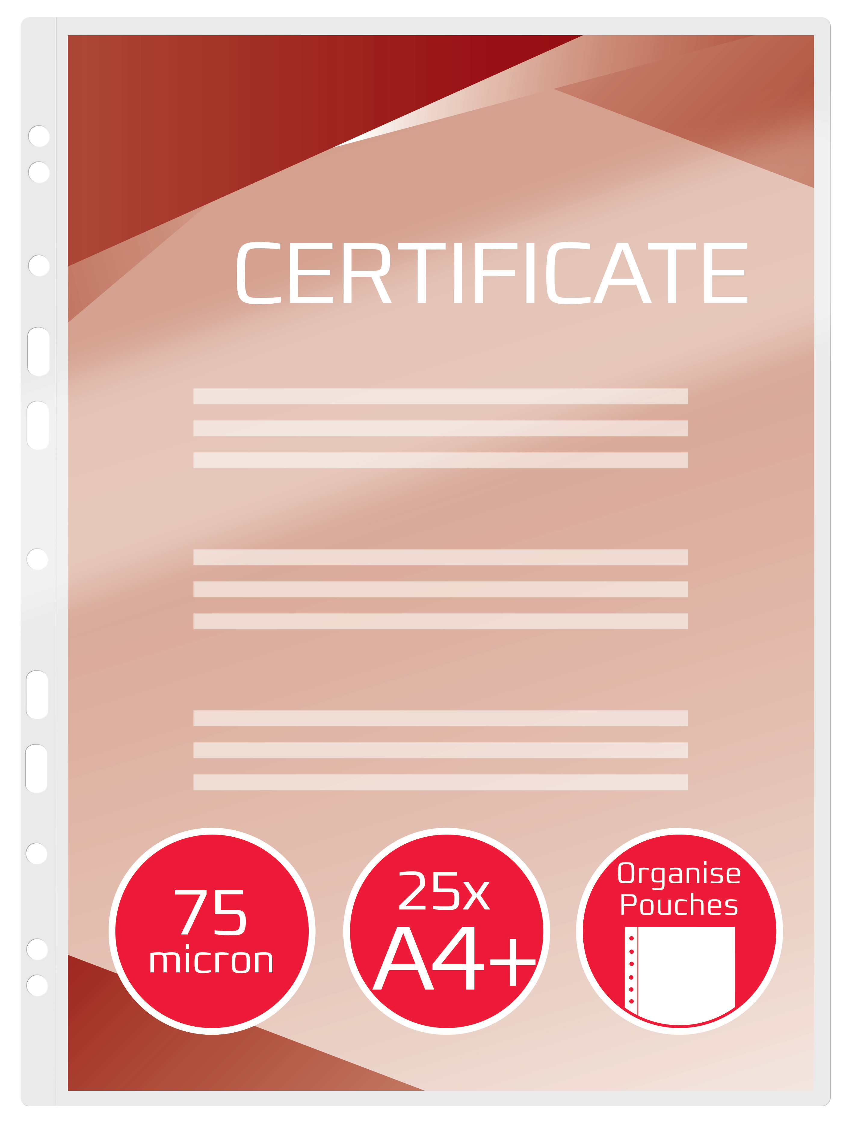 G:POUCH A4+ ORGANISE 2X75MIC GLOSS 25PCS