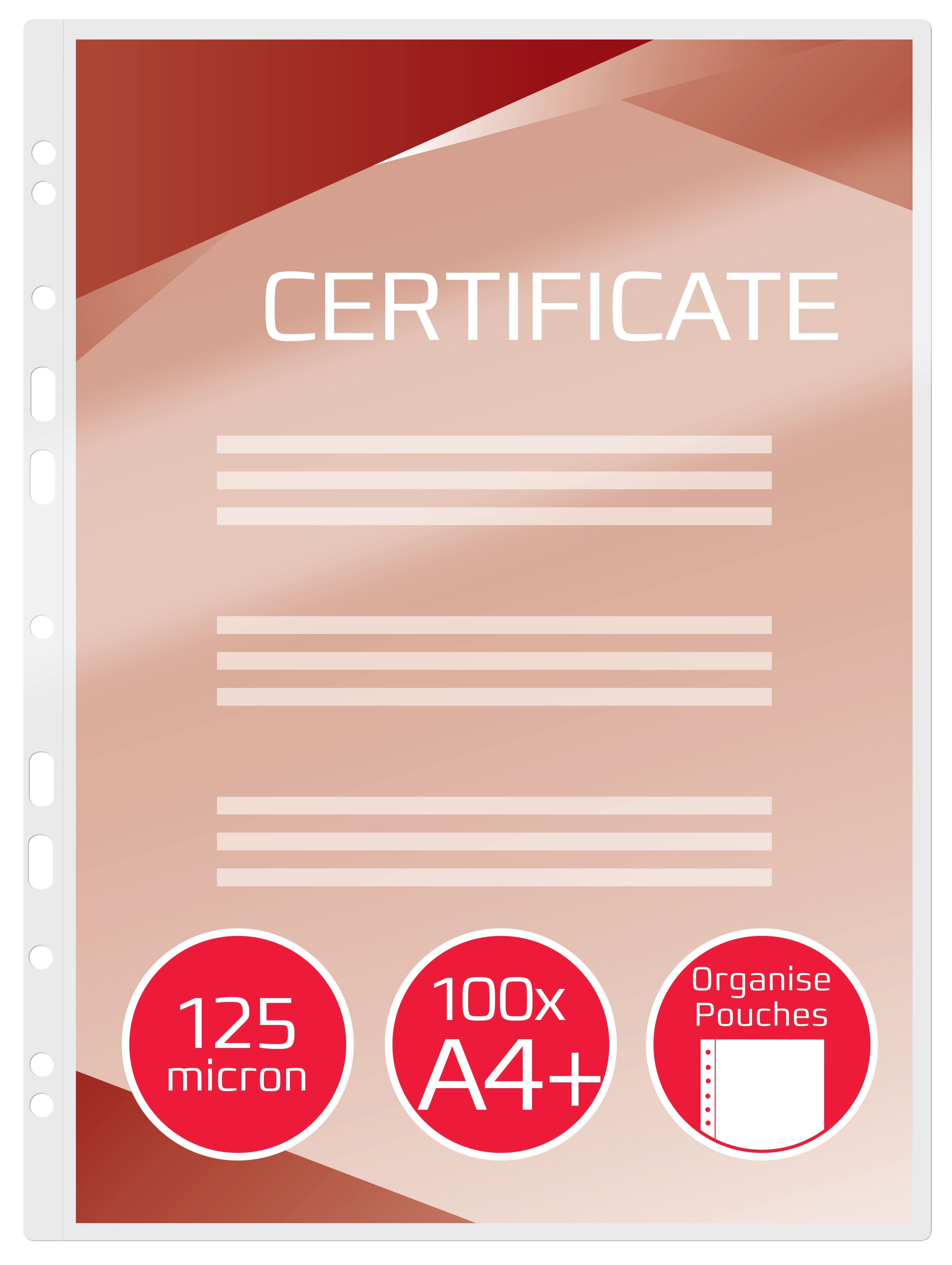G:LAM.POUCHORGANISE A4+ 125MIC 100PCS