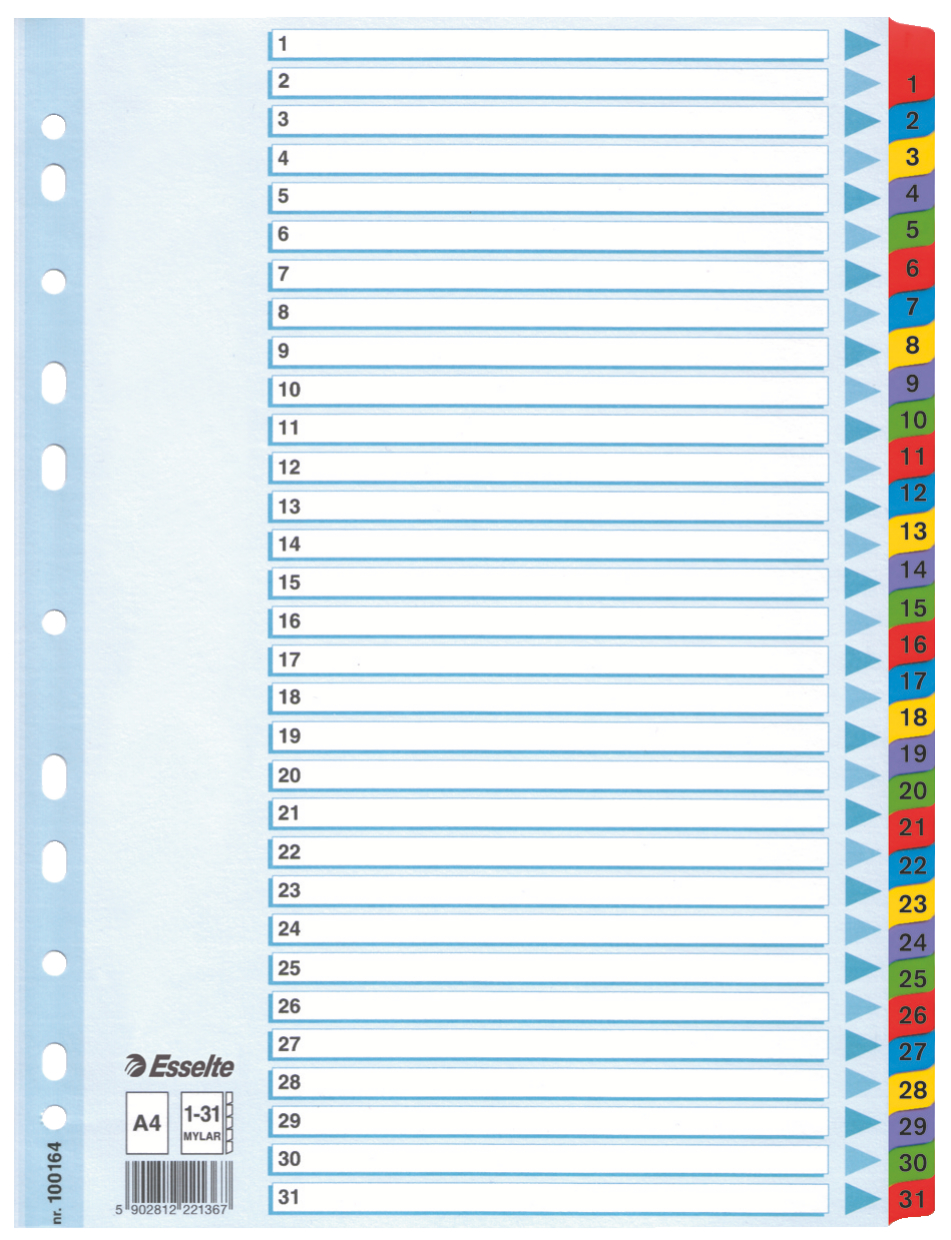 E:INDEX 1-31 MULITCOLOR MYLAR A4