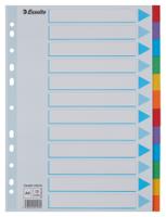 E:DIVIDER CARD A4 12TABS