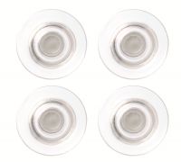 N:RARE EARTH MAGNETS 4PCS CLEAR