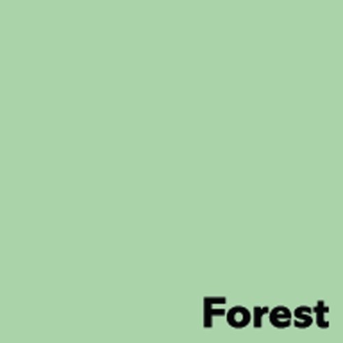 Image Coloraction Pale Green Forest FSC Mix Credit Sra2 450X640mm 230gsm/307mic Pack 150 Image Coloraction Pale Green Forest FSC Mix Credit Sra2 450X640mm 230gsm/307mic Pack 150