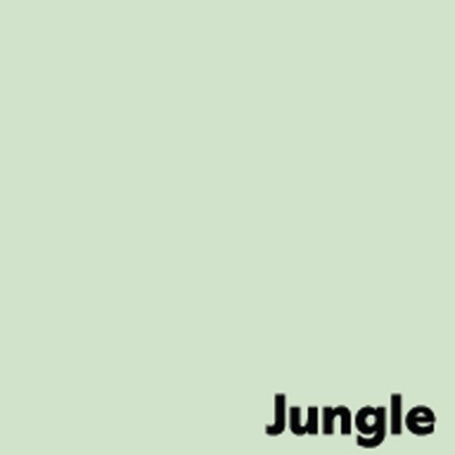 Image Coloraction Pale Green Jungle FSC Mix Credit Sra2 450X640mm 230gsm/307mic Pack 150