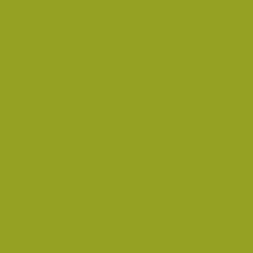 Oracal 970GRA+ Pro Slide 688 Algue Green 110mic 1520mm x 25M 1 roll