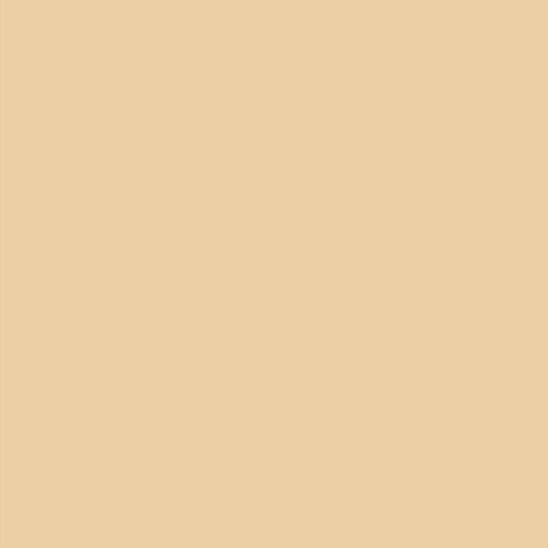 Oracal 970GRA+ Pro Slide 996 Champagne Myst 110mic 1520mm x 25M 1 roll