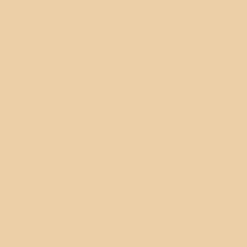 Oracal 970MRA+ Pro Slide 996 Champagne Myst 110mic 1520mm x 25M 1 roll