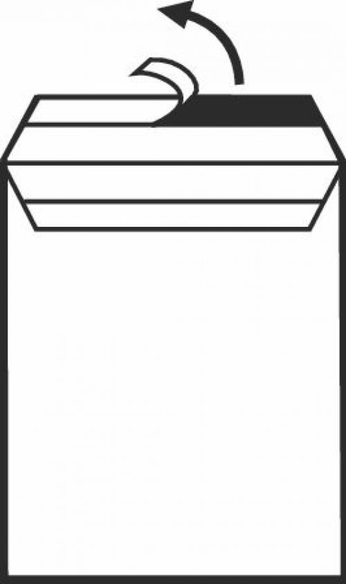 Tyvek Gusset Envelopes Peel & Seal 381x254x51mm White (100) 4240