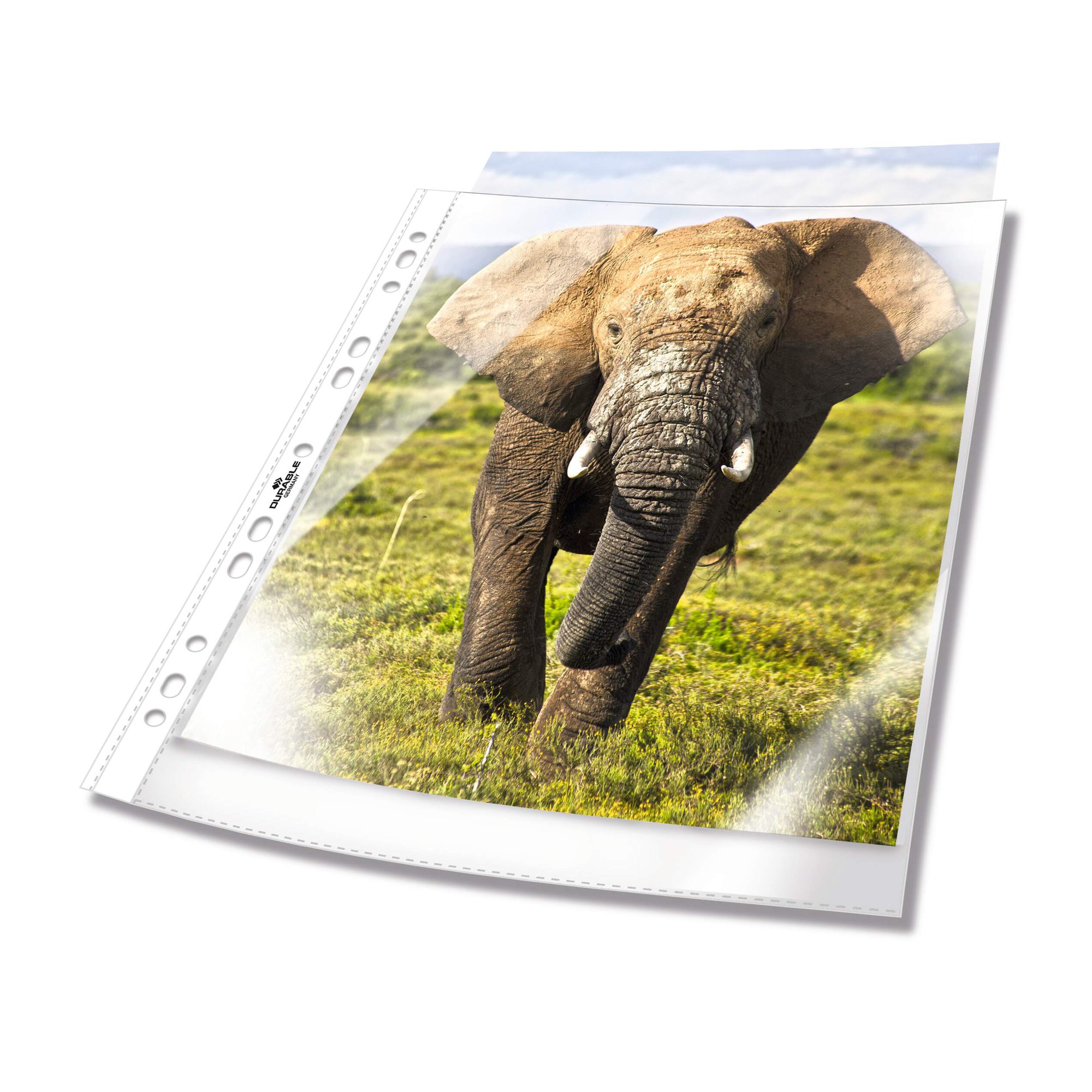 DURABLE BUSINESS PUNCHED POCKET 100 (100