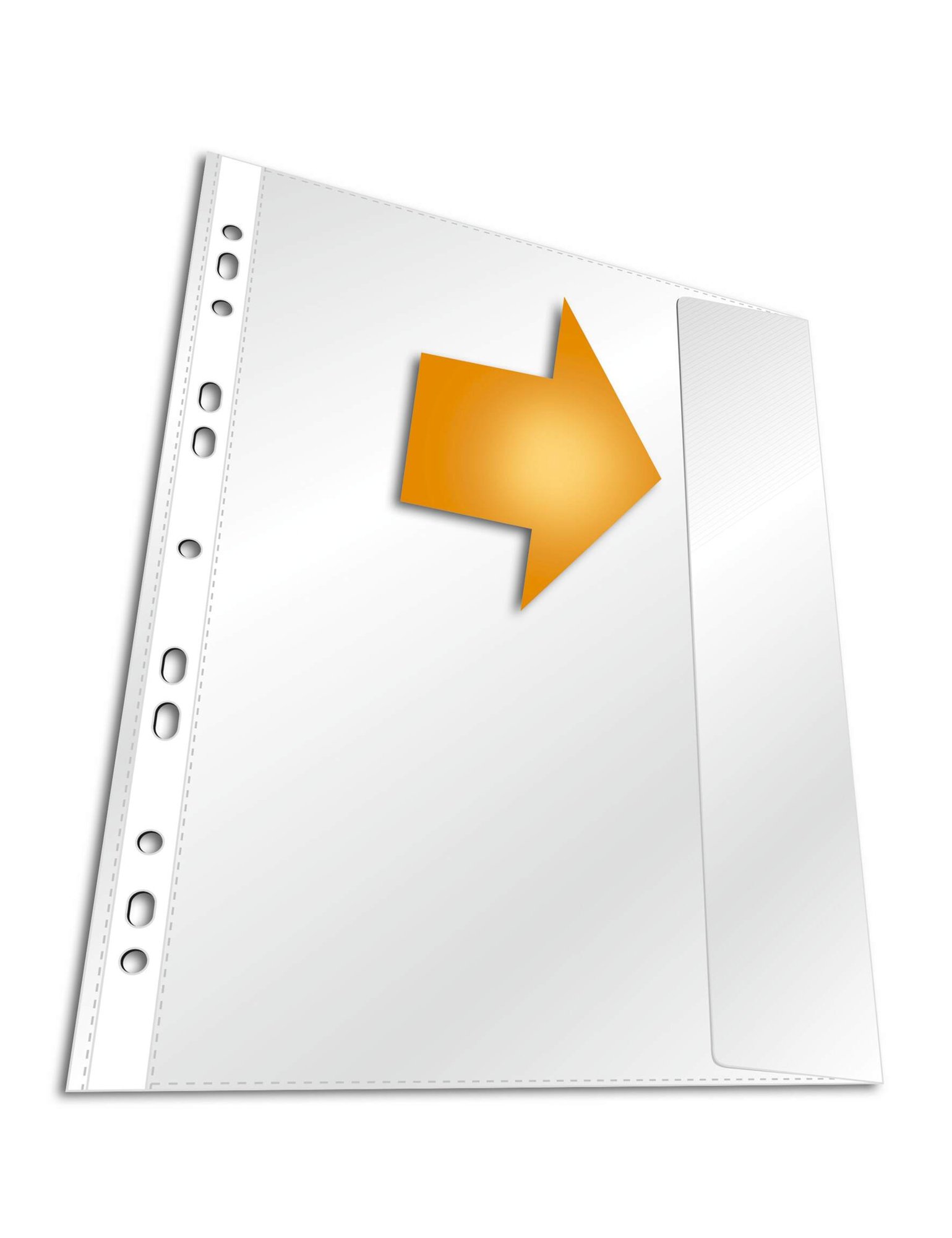 DURABLE BUSINESS FLAP PUNCHED POCKET (5)