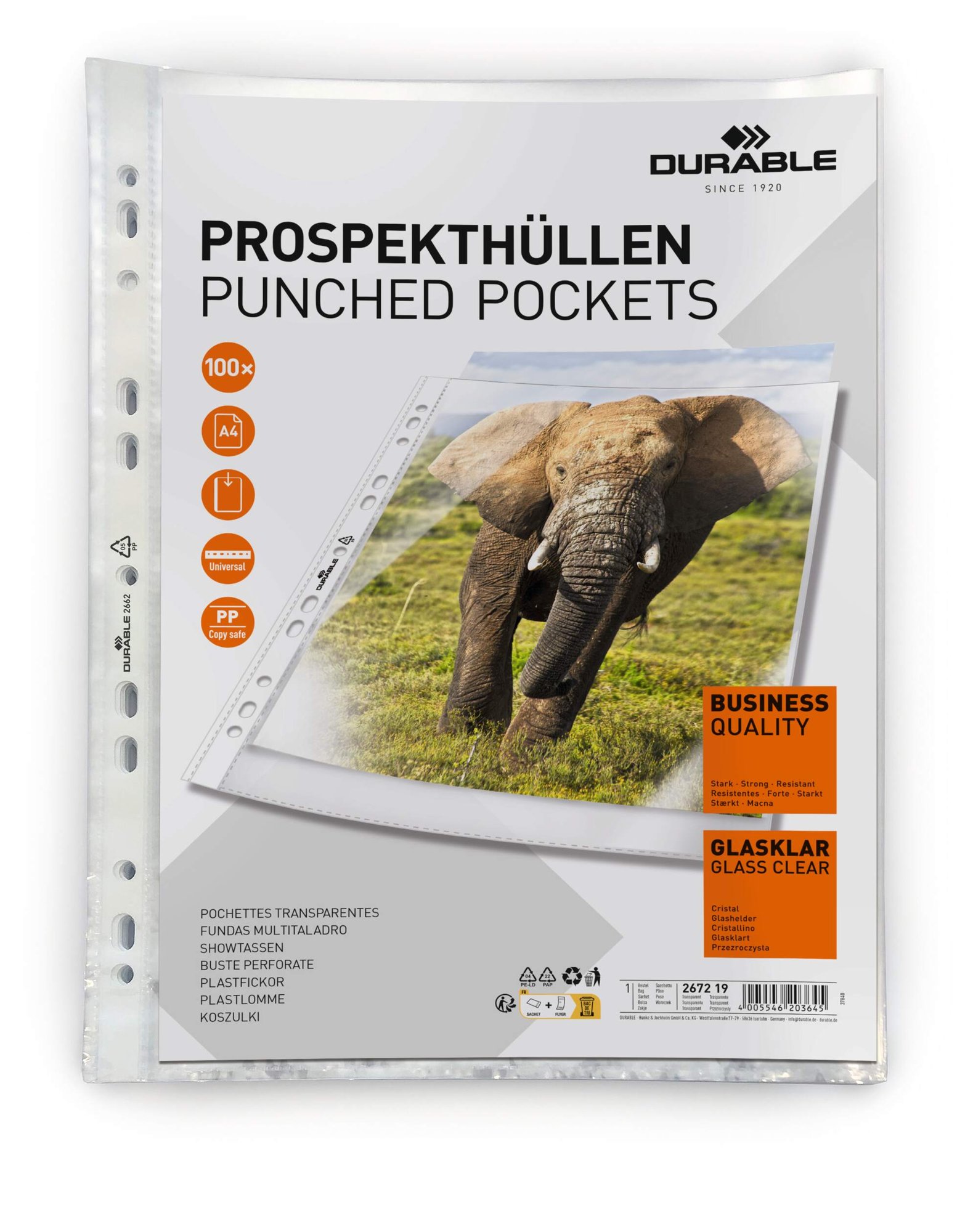 DURABLE BUSINESS PUNCHED POCKET 100 A4 (