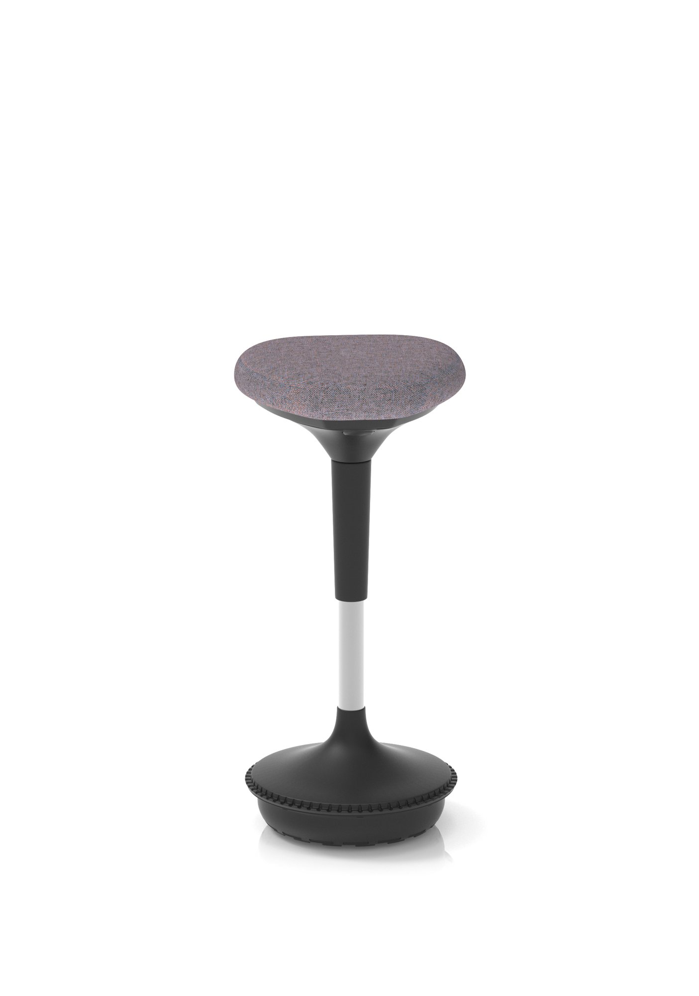 SIT-FASFS