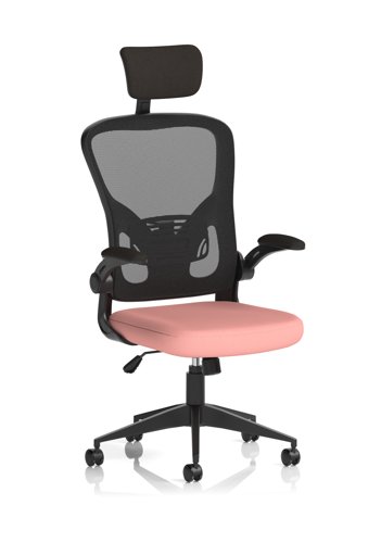 Ace Executive Mesh Chair With Folding Arms Bespoke Colour Seat Quest Shrimp Ace Executive Mesh Chair With Folding Arms Bespoke Colour Seat Quest Shrimp