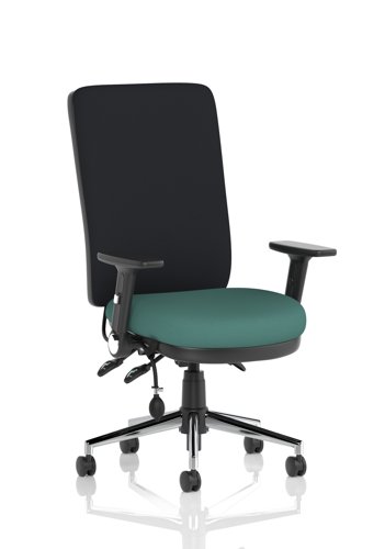Chiro High Back With Height Adjustable And Folding Arms Bespoke Colour Seat Quest Kelp Chiro High Back With Height Adjustable And Folding Arms Bespoke Colour Seat Quest Kelp