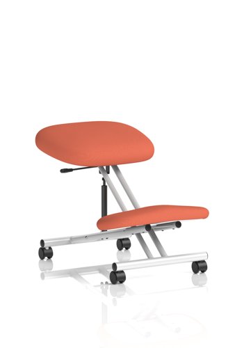 Kneeling Stool Silver Frame Bespoke Colour Quest Crab Kneeling Stool Silver Frame Bespoke Colour Quest Crab