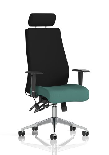 Onyx Ergo Posture Chair With Height Adjustable Arms With Headrest Bespoke Colour Seat Quest Kelp Onyx Ergo Posture Chair With Height Adjustable Arms With Headrest Bespoke Colour Seat Quest Kelp