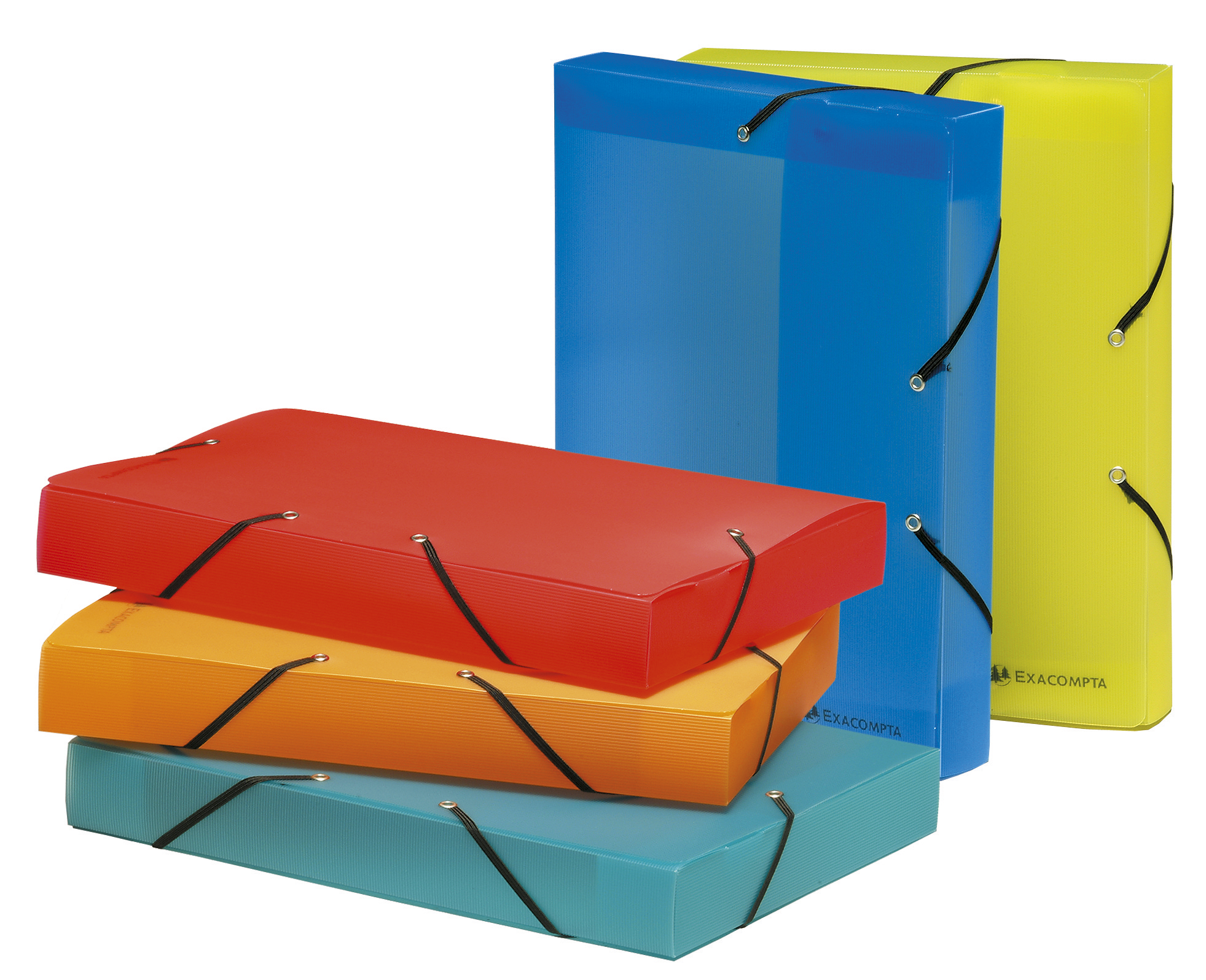 EXACOMPTA LINICOLOR FILING BOX PP 40MM S