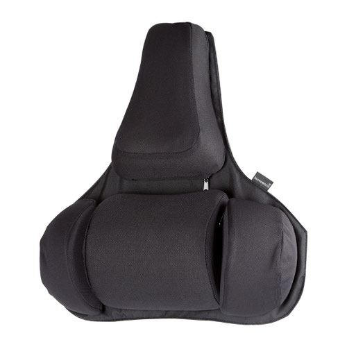 Chair Fellowes Professional Series Ultimate Back Support Black 8041801