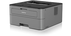 Brother Mono Laser Printer HL-L2300D Brother Mono Laser Printer HL-L2300D