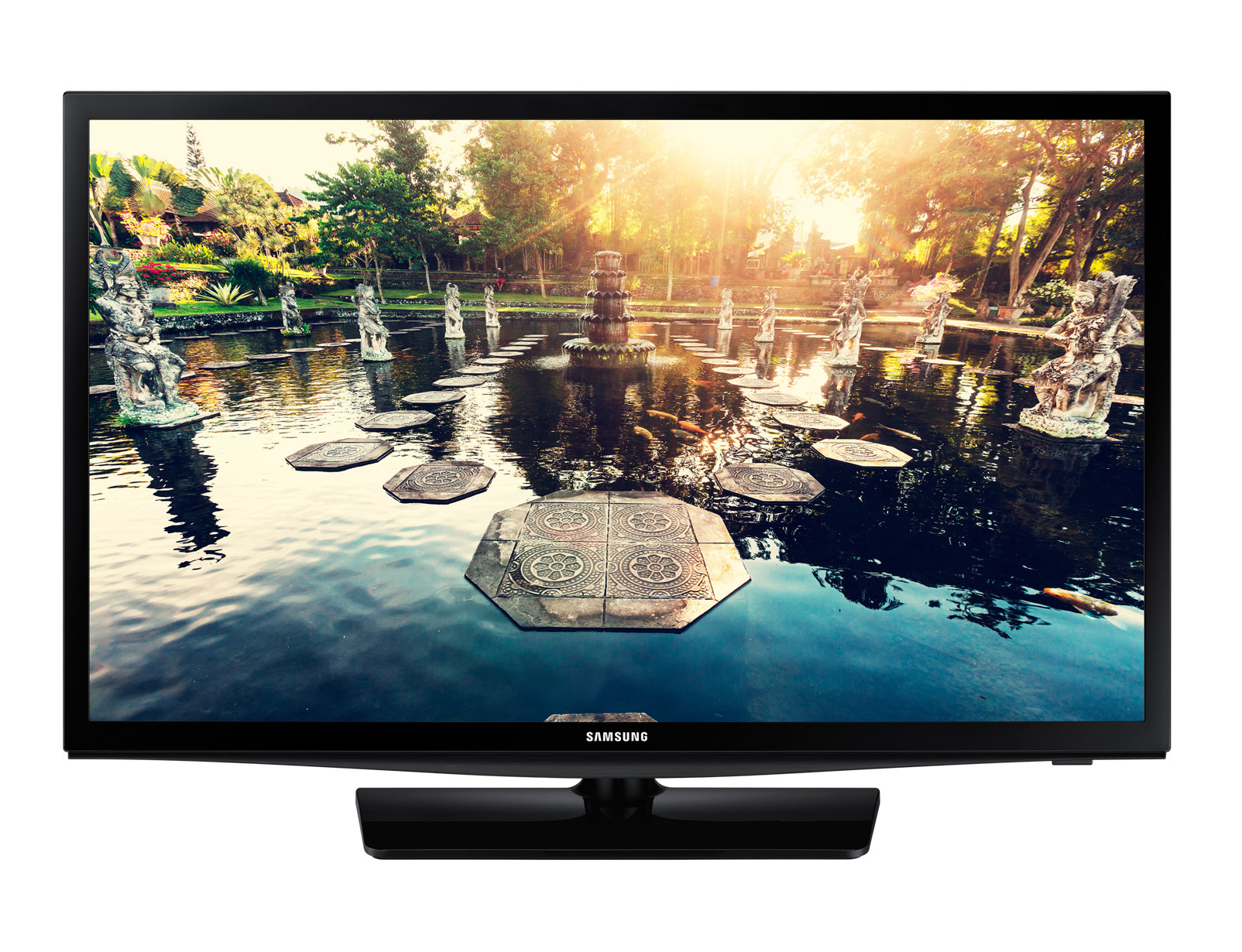 Samsung EE690 24in Commercial TV