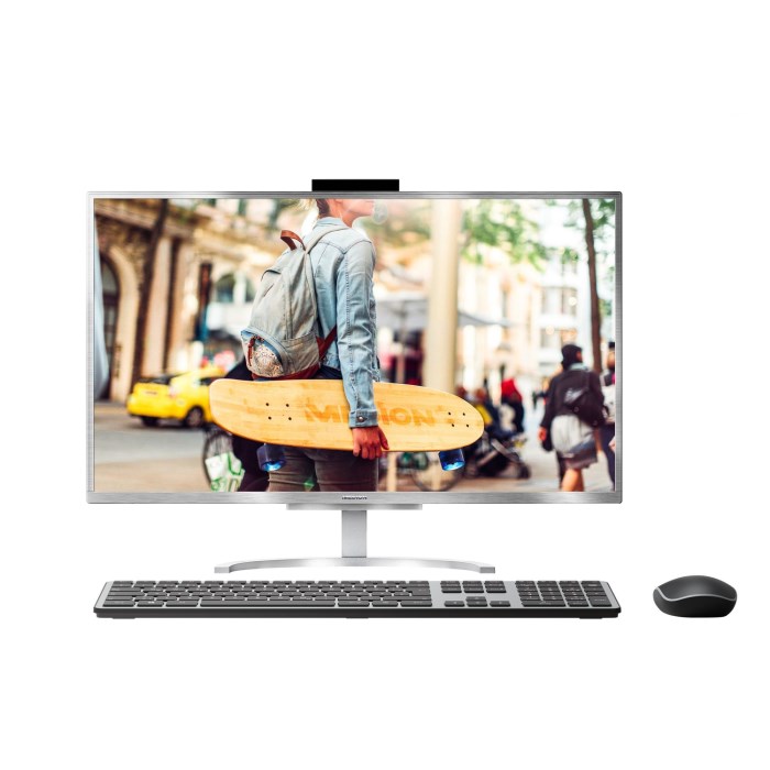 E23401 23.8in i5 8GB 2TB W10 AIO PC