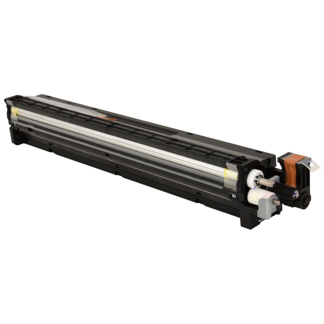OEM RICOH BLACK DEVELOPER