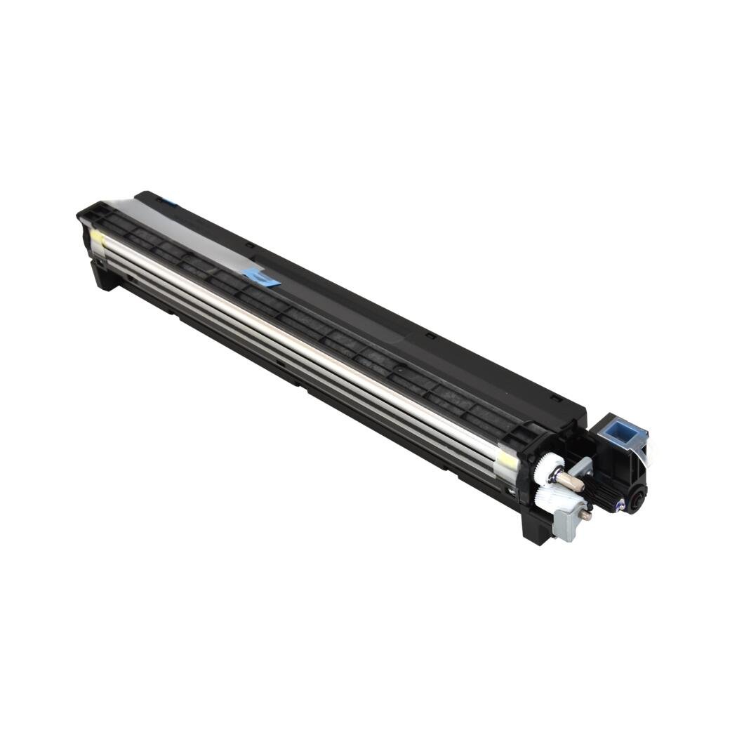OEM RICOH D2443021 CYAN DEVELOPER UNIT