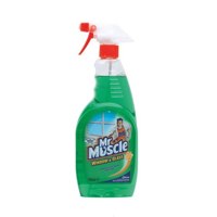 Mr Muscle Window and Glass Cleaner Spray Bottle 750ml 1003009