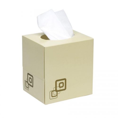 Facial Tissues ValueX Facial Tissue Cube 2 Ply 70 Sheet White (Pack 24)
