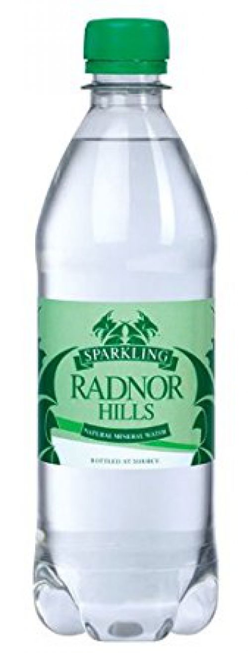 Radnor Hills Sparkling Bottled Water 500ml (Pack 24)