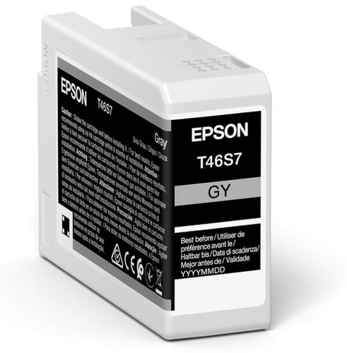 Inkjet Cartridges Epson T46S6 Grey Pro10 Ink Cartridge 25ml - C13T46S700