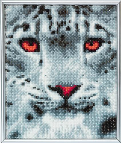 Crystal Art Snow Leopard 21 x 25cm Picture Frame Kit CAM-15