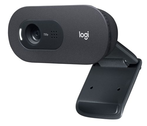 Webcams Logitech C505 30 fps 1280 x 720 HD Pixels Resolution USB Webcam