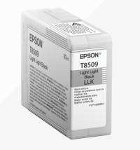 EPSON LLBLACK T850900