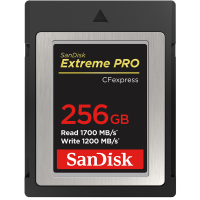 SANDISK EXTREME PRO 256GB EXTREME PRO CF