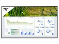 BZ30L 75IN HDMI USB PRO BRAVIA DISPLAY