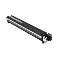 OEM RICOH D2443021 CYAN DEVELOPER UNIT