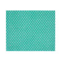 ALL PURPOSE CLEANING CLOTH GREEN 42 X 35
