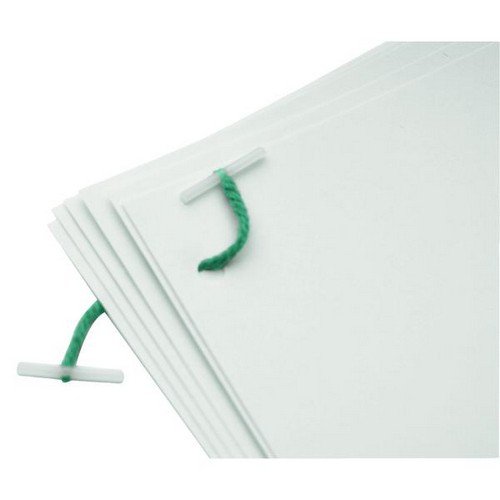 Q-Connect+Plastic+Treasury+Tag+127mm+%28Pack+of+100%29+KF04574