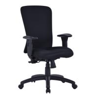 FORTIS BARIATRIC TASK OPS CHAIR BK