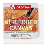 TALENS STRETCH CANVAS 3D 100X100MM