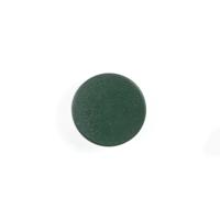 BOARD MAGNETS 25MM GREEN (10)