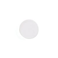 BOARD MAGNETS 25MM WHITE (10)