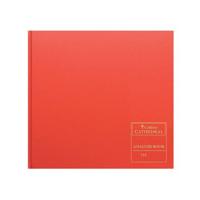 CATHEDRAL ANALYSIS BOOK 150/12.1