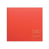 CATHEDRAL ANALYSIS BOOK 150/14.1