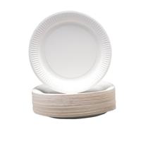 DISPOSABLE PAPER PLATES 230MM (100)