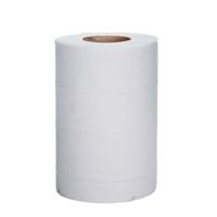 MINI CENTREFEED HAND TOWEL 2PLY WHT (12)