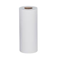 HYGIENE ROLL 2PLY 250MM WHT (24)