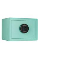 PHOENIX DREAM HOME SAFE MINT DREAM1M