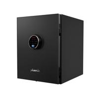 PHOENIX SPECTRUM PLUS SAFE BLK LS6011FB